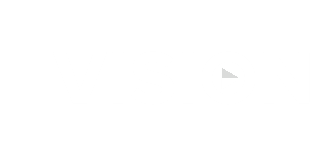 Vision logo